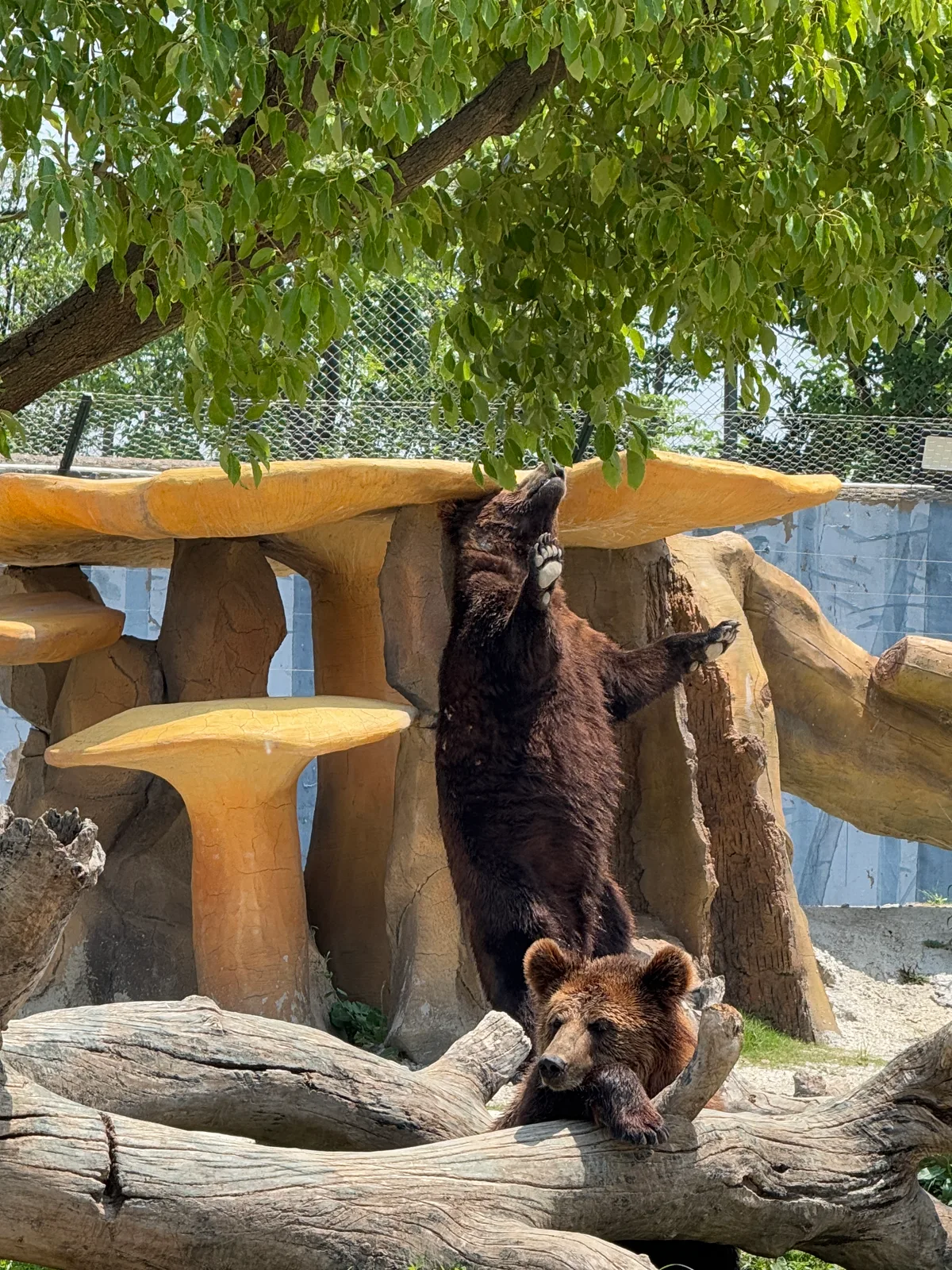 南通 2025.05.24 第 6 张照片